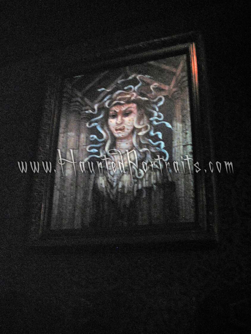 medusachangingportrait.jpg